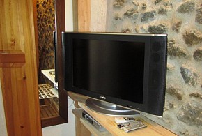 NIU DEL SOL