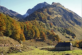 PENSION MONTANHA