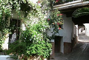 POSADA MIRADOR DE JUBRIQUE