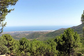 POSADA MIRADOR DE JUBRIQUE