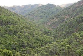 POSADA MIRADOR DE JUBRIQUE