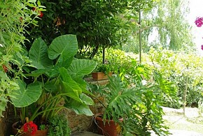 VENTA DE LOS HERRADORES