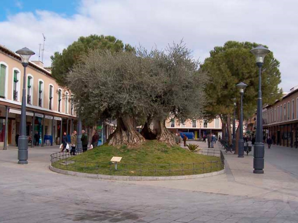 cb47dadaa750fbd7817c26a7c8ad23423f3f3d5f